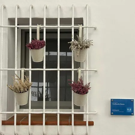 Carihuela Apartamento